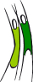 Melongia-Logo