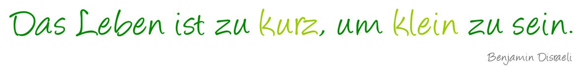 Leben-zu-kurz